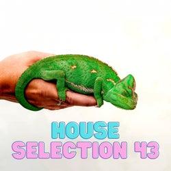 House Selection 43