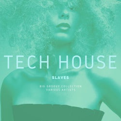 Tech House Slaves (Big Groovy Collection)