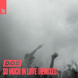 So Much In Love - Remixes