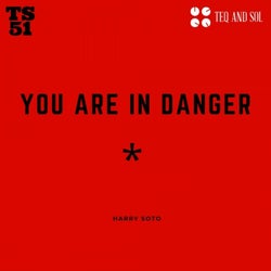 You Are In Danger