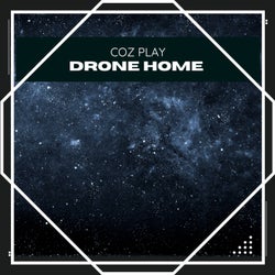 Drone Home