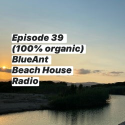 #39 BlueAnt Beach House Radio (100% Organic)