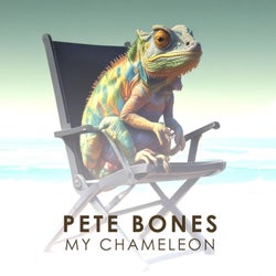 My Chameleon (The Shaker Dub)