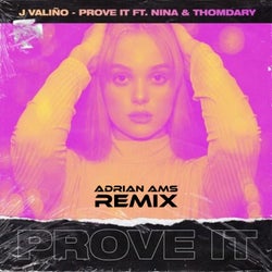 Prove It (Adrian Ams Remix)
