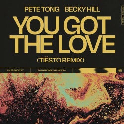 You Got The Love (Tiësto Extended Remix)