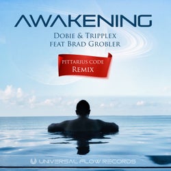 Awakening (PITTARIUS CODE Remix)