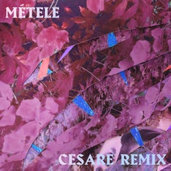 Métele - Cesare Remix