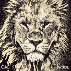 Lion Soul