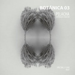 Botanica 03