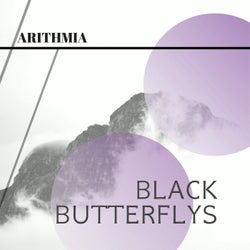 black butterflys