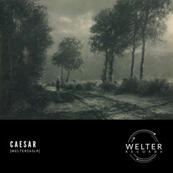 [WELTER263LP]