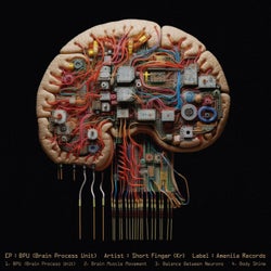 BPU (Brain Process Unit)