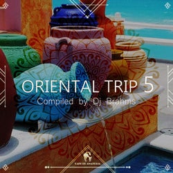 Oriental Trip, Vol. 5 (Compiled by Dj Brahms)