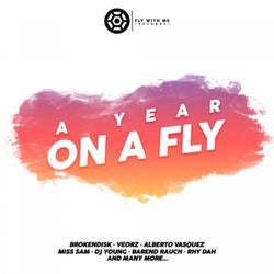 A Year On A Fly