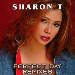 Perfect Day (Remixes)