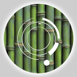 Bamboo