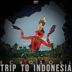 Trip To Indonesia