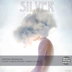 Cristian Benincasa "SILVER" charts May 2012