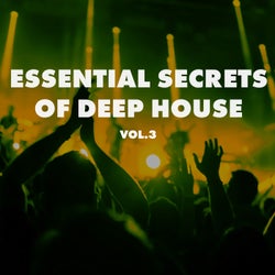 Essential Secrets of Deep House, Vol. 3