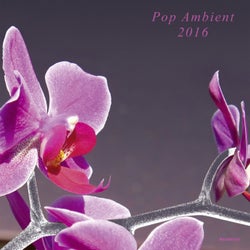Pop Ambient 2016