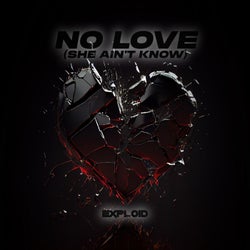 No Love (She Ain't Know)