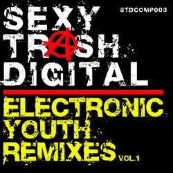 Electronic Youth Remixes, Vol. 1