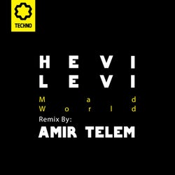 Mad World (Amir Telem Remix)