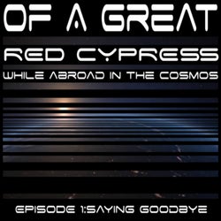 While Abroad in the Cosmos, Pt. 1: Saying Goodbye