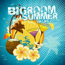 Bigroom Summer Project 2014