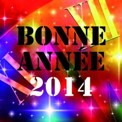 Bonne Annee 2014 (Nouvel an ch'ti & dance reussi)