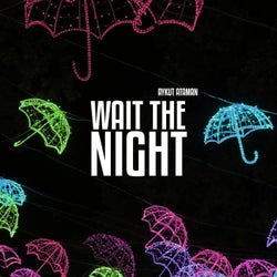 Wait the Night