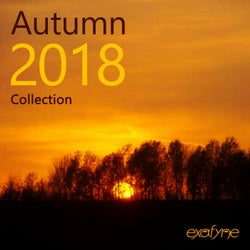 Autumn 2018 Collection