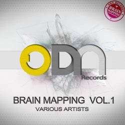 Brain Mapping Vol 1