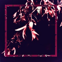 Digable Plants