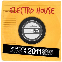 What You Missed 2011 - Electro House