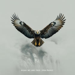We Are Free (Alox Remix)