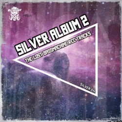 Silver Album #2
