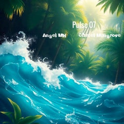 Pulse 07