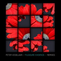 Pleasure Evidence (Remixes)