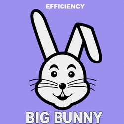 Efficiency