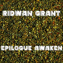 Epilogue Awaken