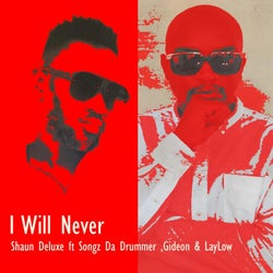 I Will Never (feat. Gideon, LayLow & SongzDaDrummer )