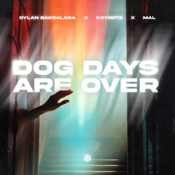 Dog Days Are Over (Extended Mix)