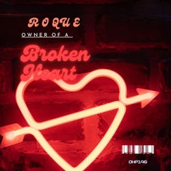 Owner Of A Broken Heart
