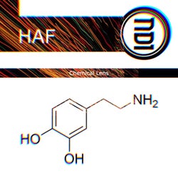 Chemical Lens