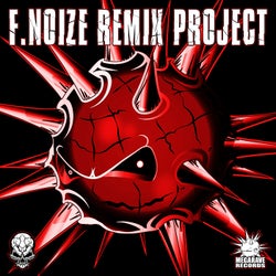 F.Noize Remix Project