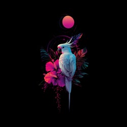 A Birds Life