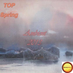Ambient Top Spring 2013