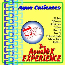 The Aguamix Experience