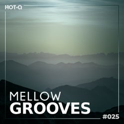 Mellow Grooves 025